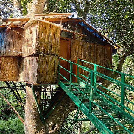 Tipperary Treehouse With Valley View Jerkaud Kültér fotó