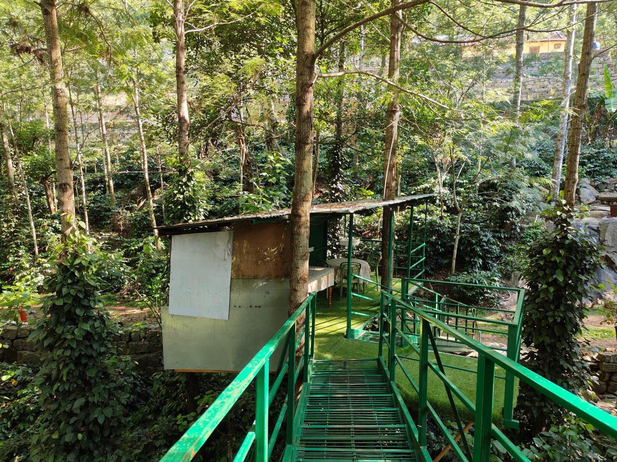 Tipperary Treehouse With Valley View Jerkaud Kültér fotó