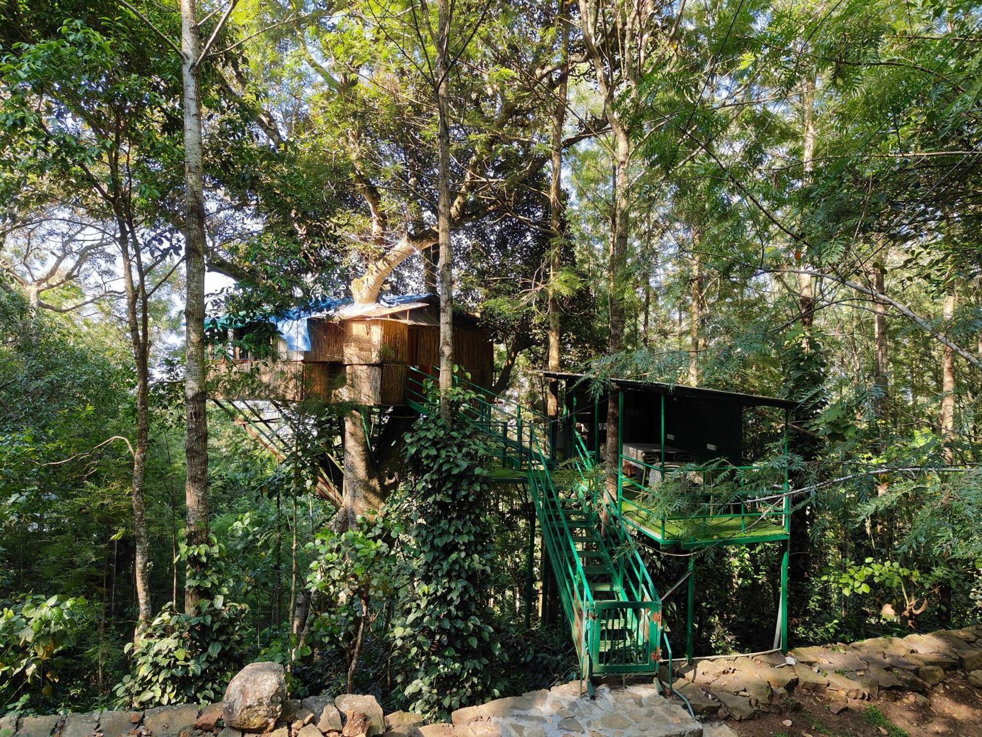 Tipperary Treehouse With Valley View Jerkaud Kültér fotó