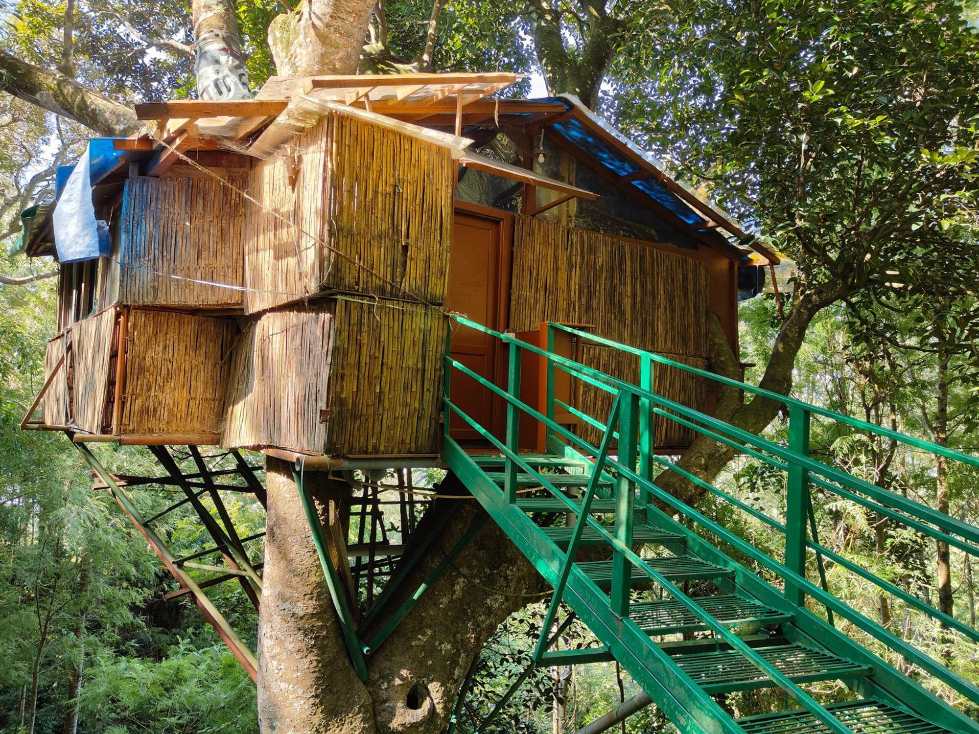 Tipperary Treehouse With Valley View Jerkaud Kültér fotó